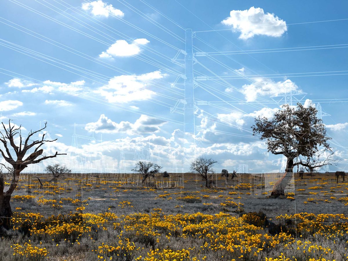 Texas Landscape thumbnail