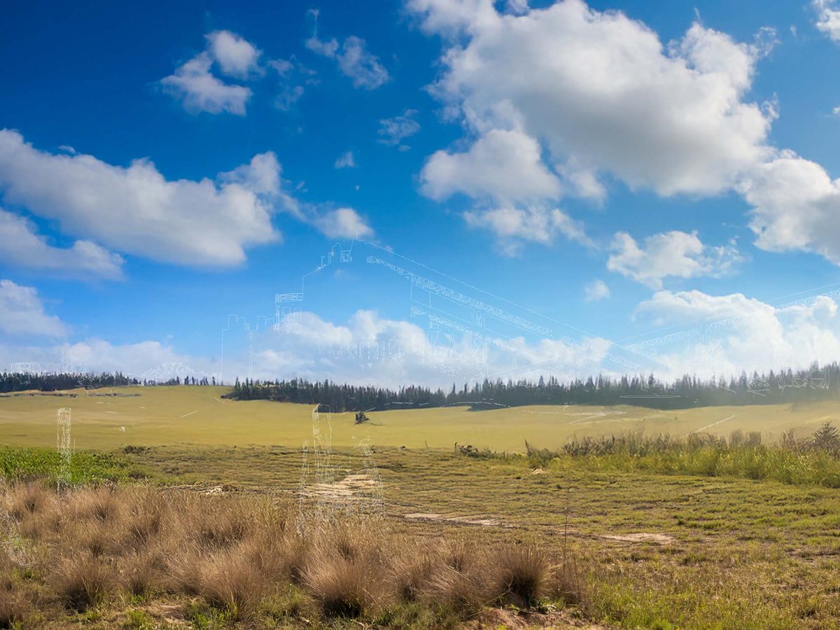 Extraction thumbnail