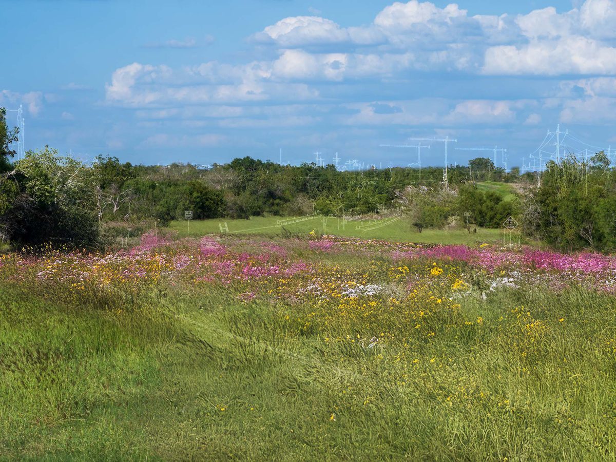 Nature's Detour thumbnail
