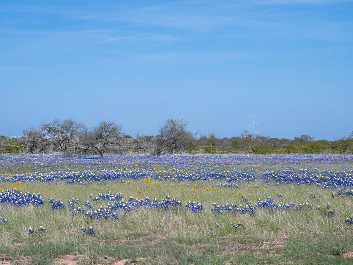 Encroachment thumbnail